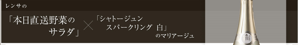 レンサの「本日直送野菜のサラダ」× シャトージュン スパークリング 白 のマリアージュ